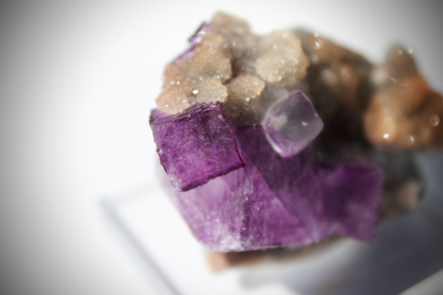 El Filo Fluorite 14