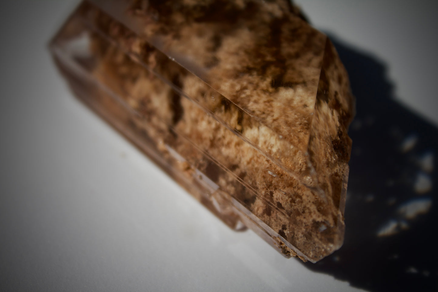 Bermejillo Selenite 2