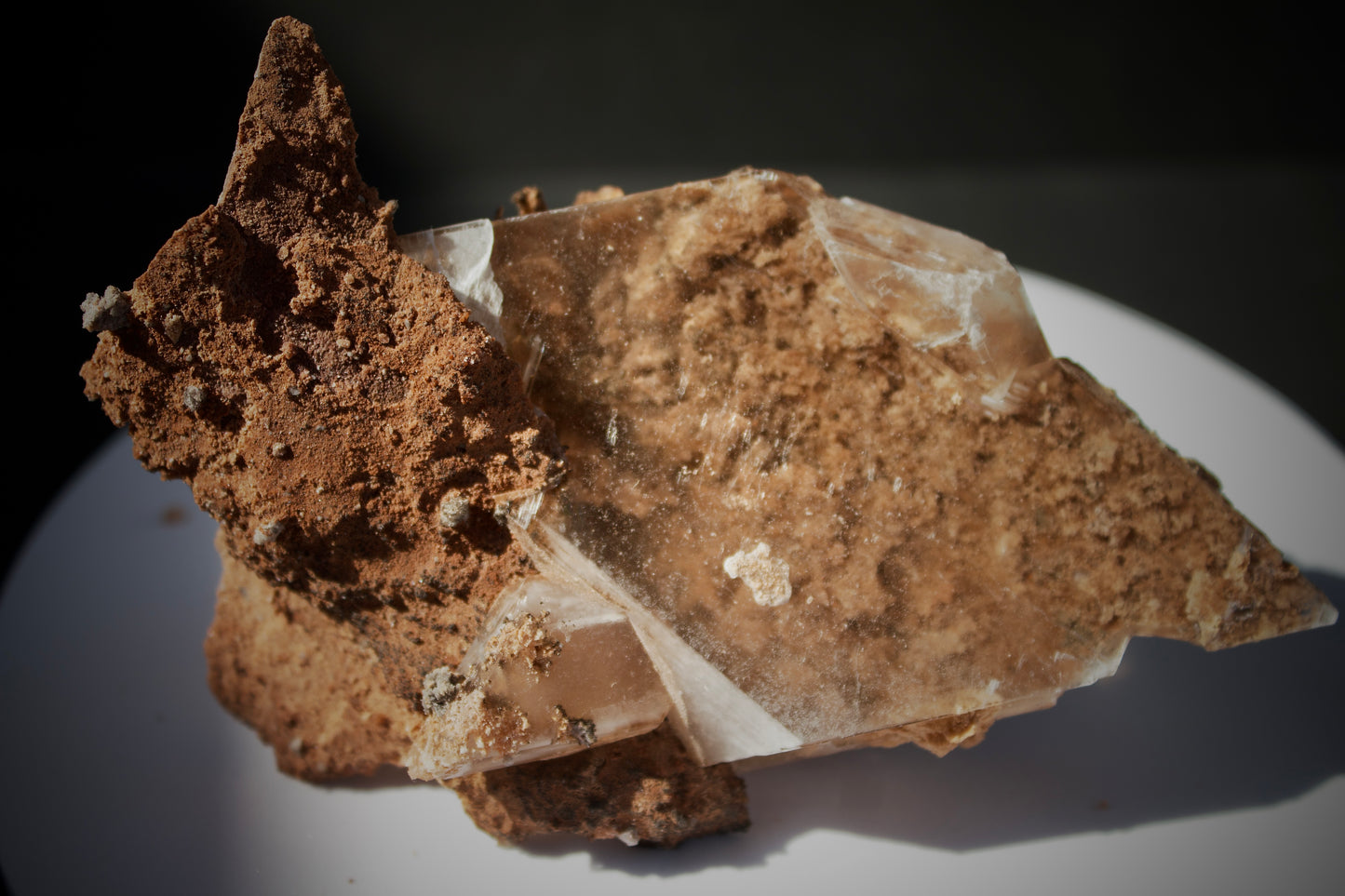 Bermejillo Selenite 4