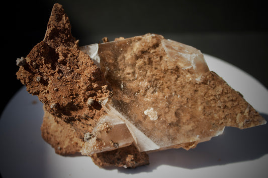 Bermejillo Selenite 4