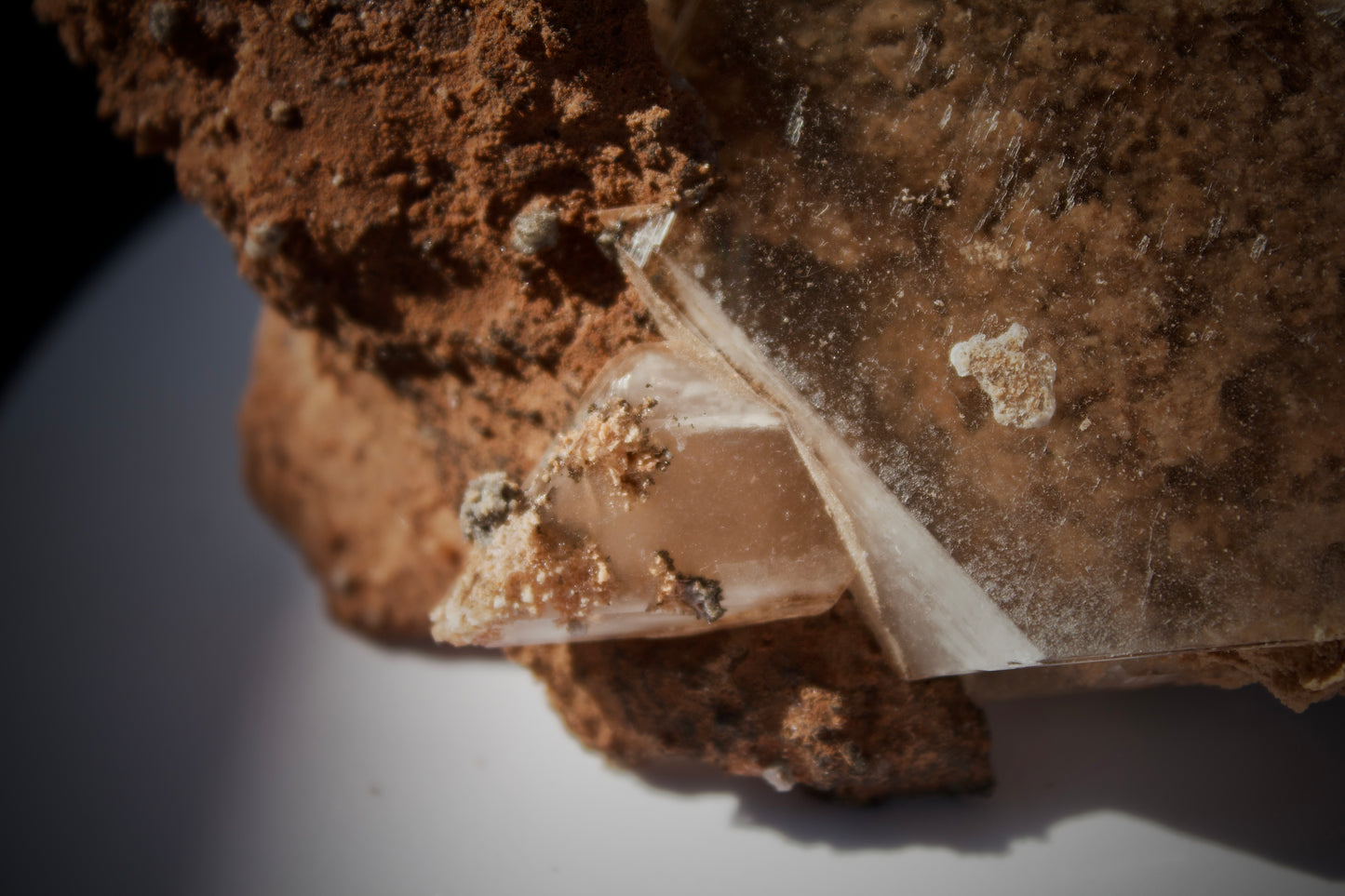 Bermejillo Selenite 4