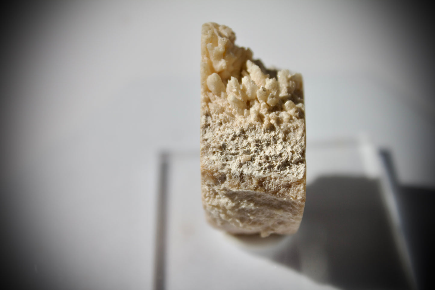 Aragonite Stalactite Slice 1