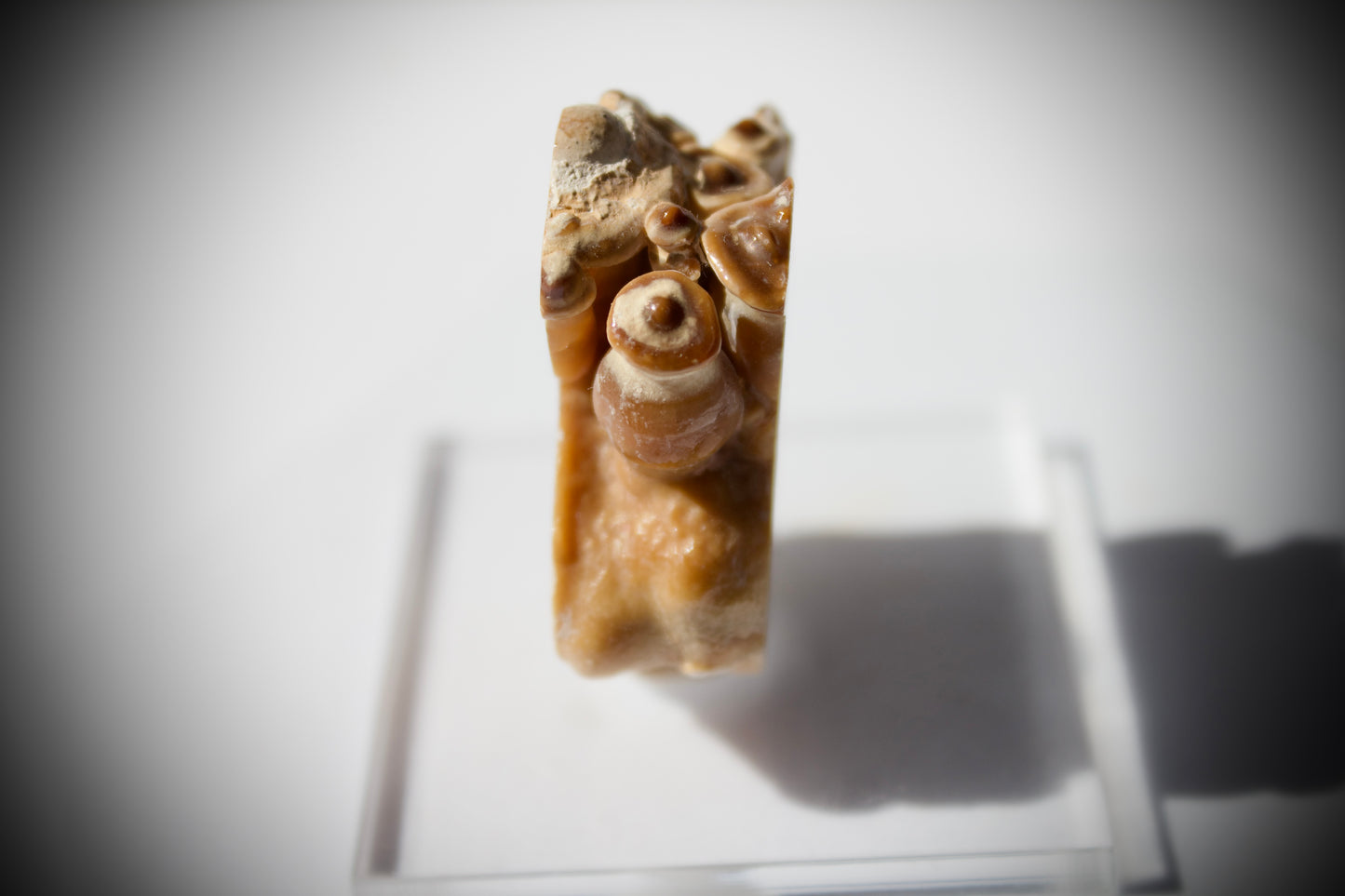 Aragonite Stalactite 3