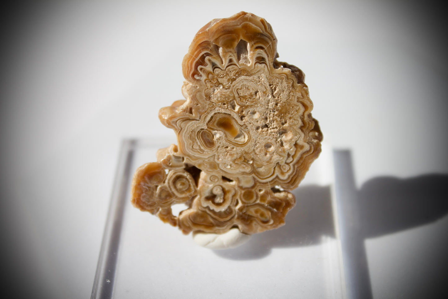 Aragonite Stalactite 4