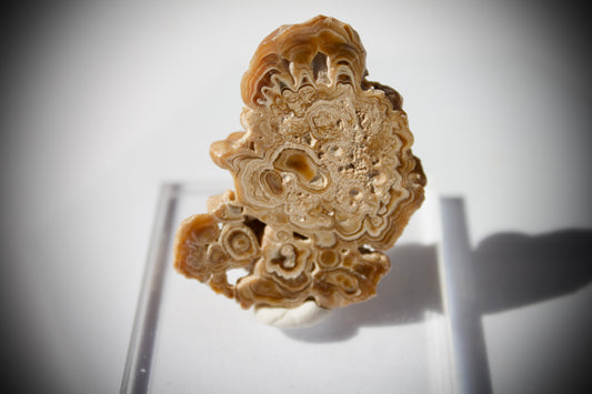 Aragonite Stalactite 4