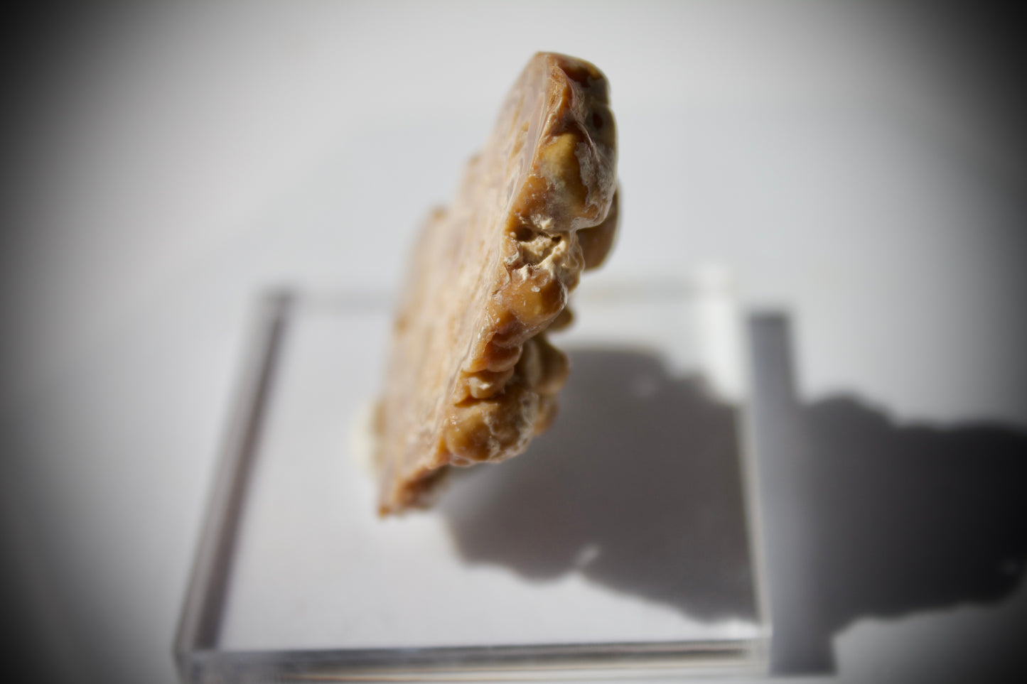 Aragonite Stalactite 4