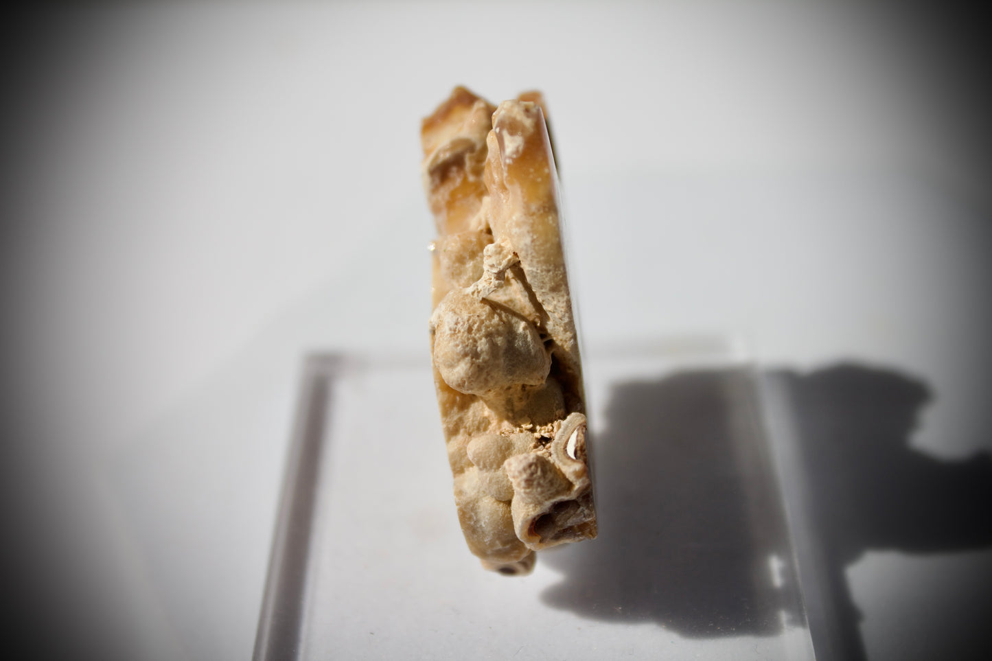 Aragonite Stalactite 5