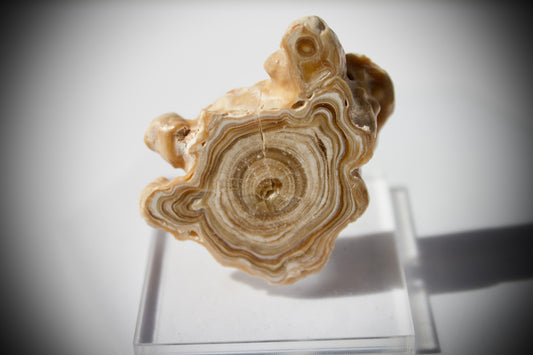Aragonite Stalactite 6