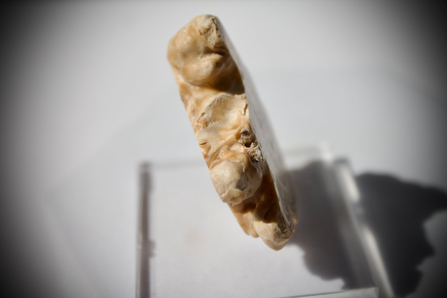 Aragonite Stalactite 6