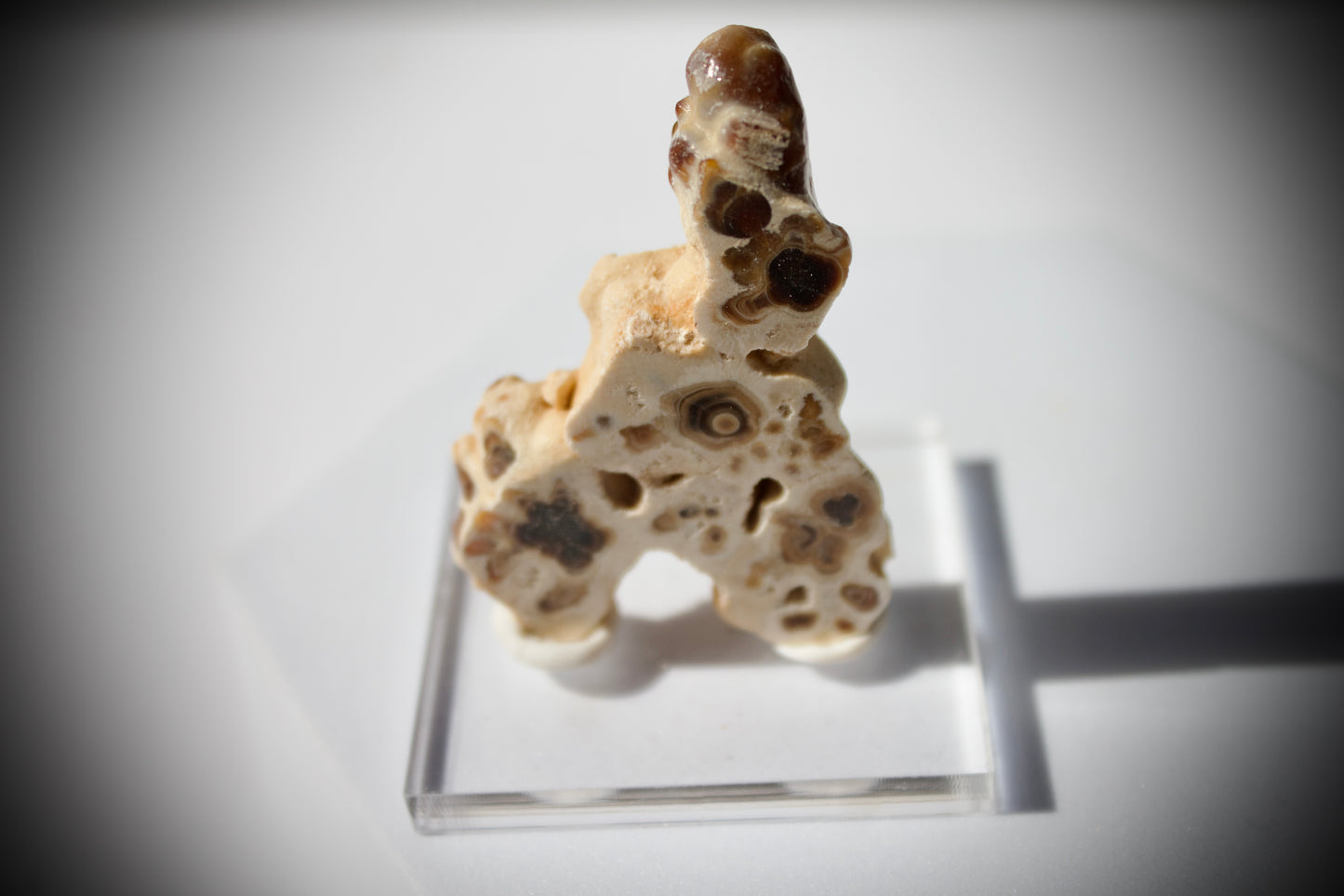 Aragonite Stalactite 7
