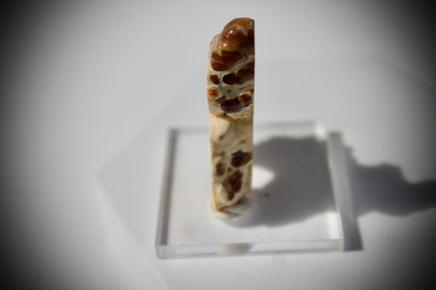 Aragonite Stalactite 7