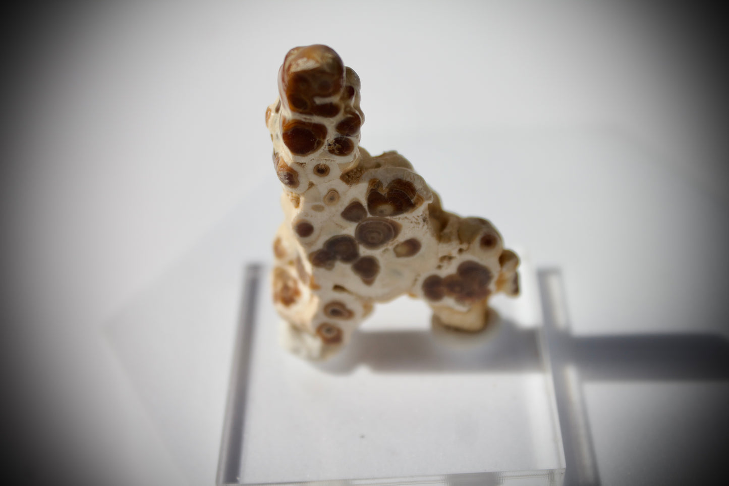Aragonite Stalactite 7