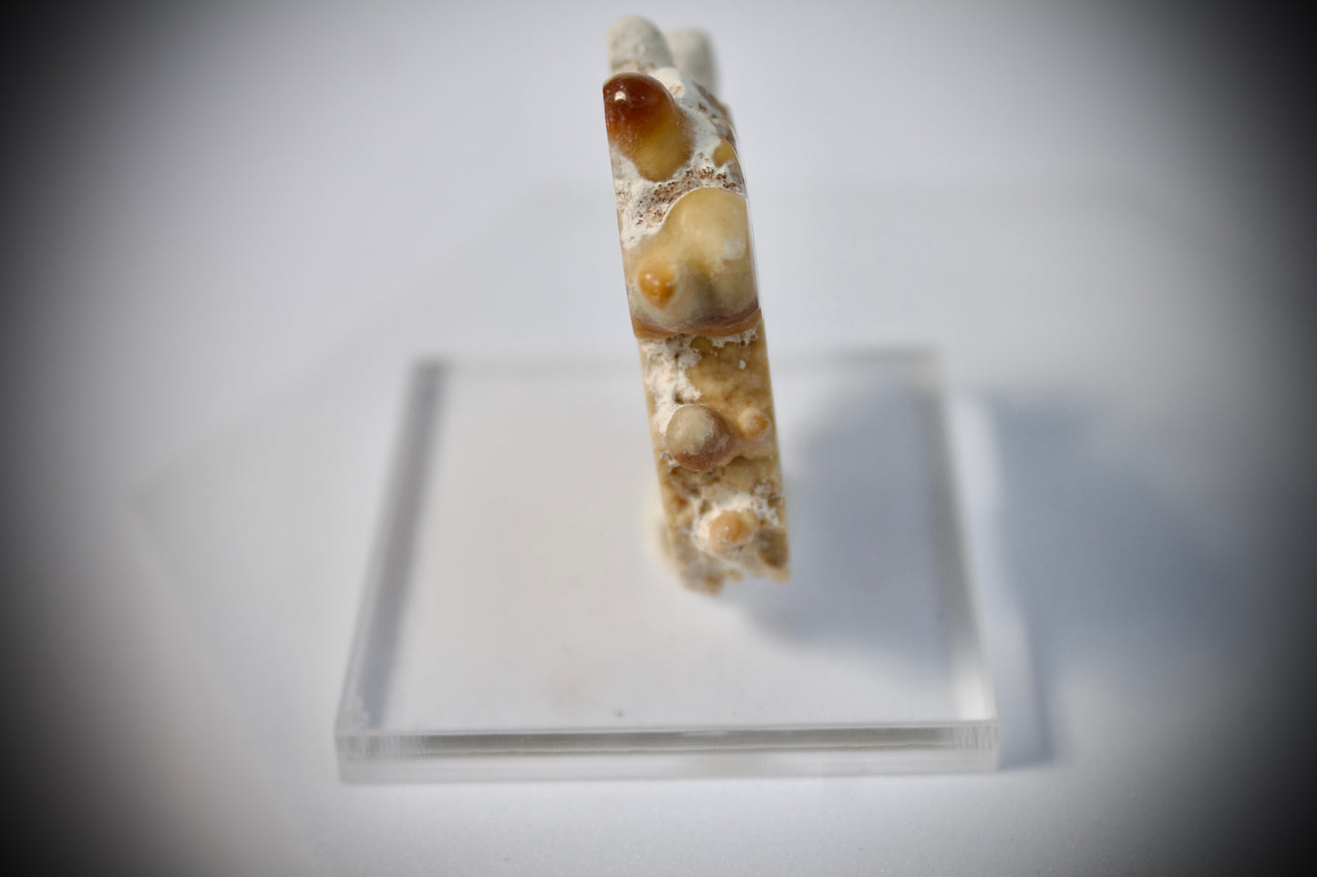 Aragonite Stalactite 8
