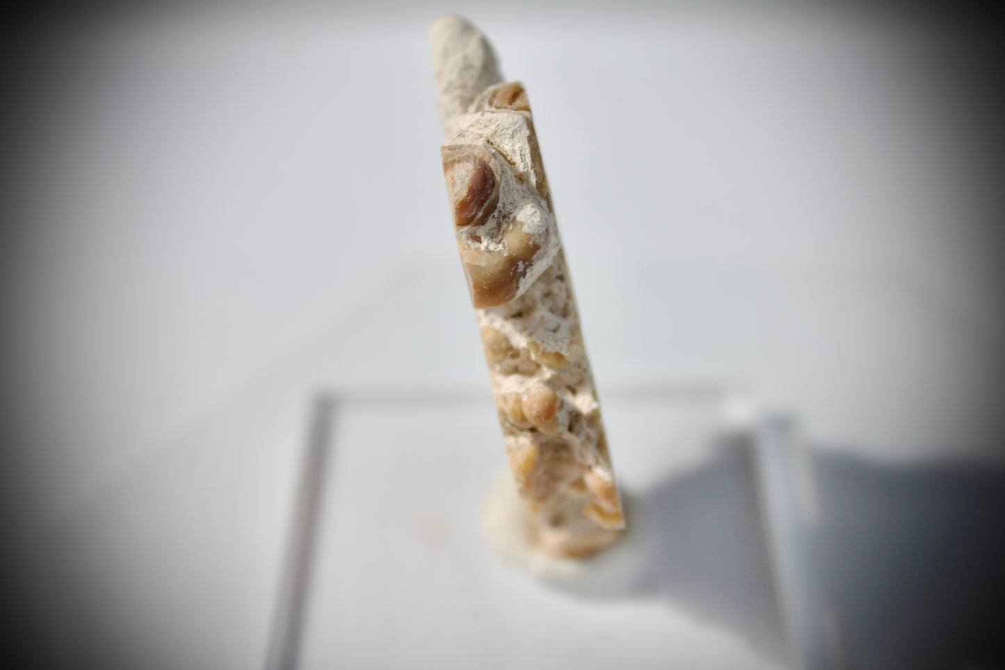 Aragonite Stalactite 9