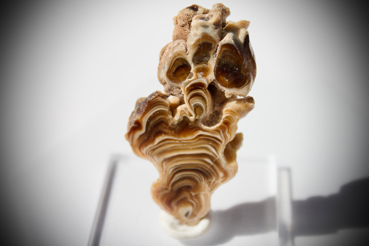 Aragonite Stalactite 10