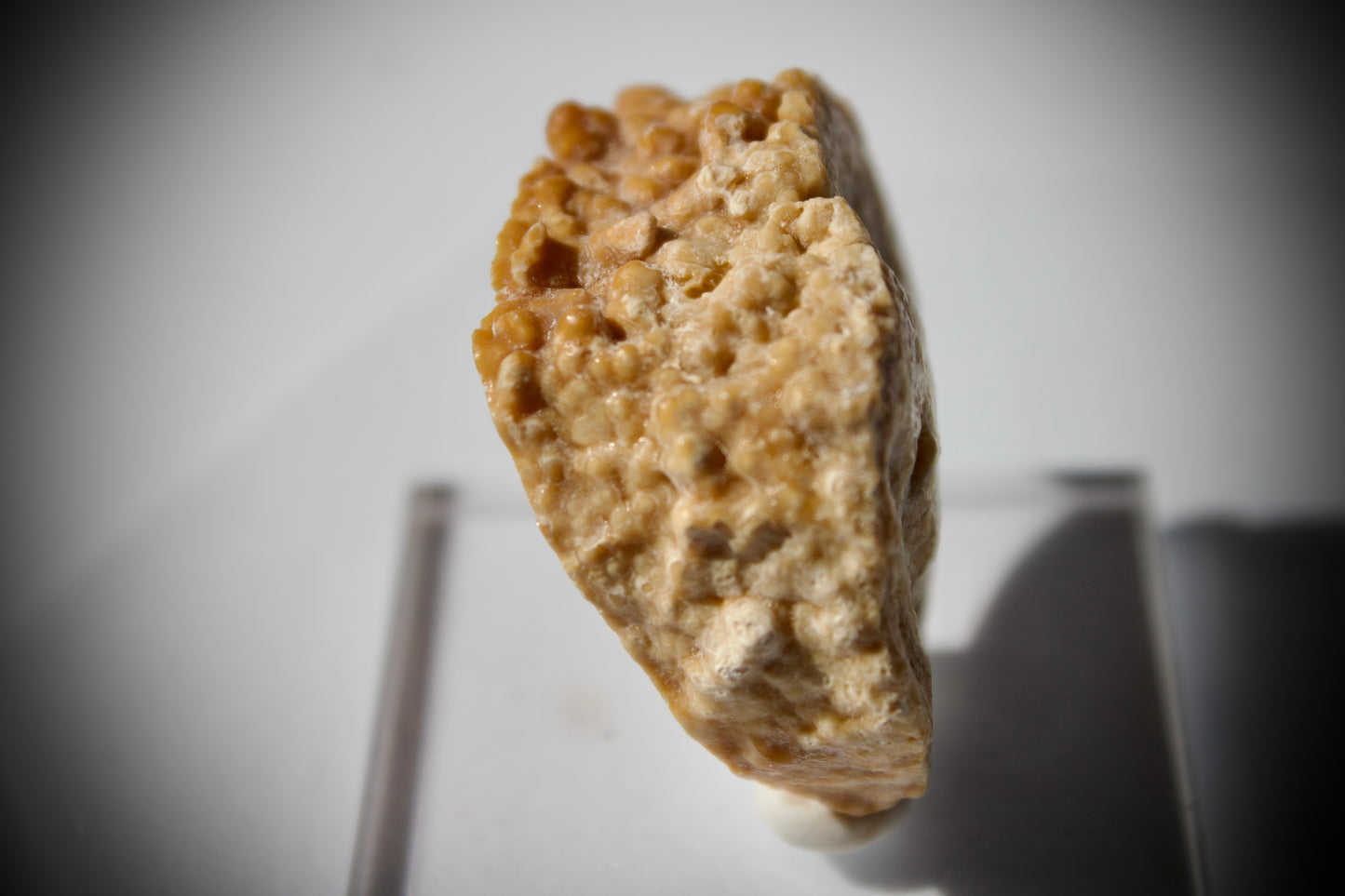 Aragonite Stalactite 11