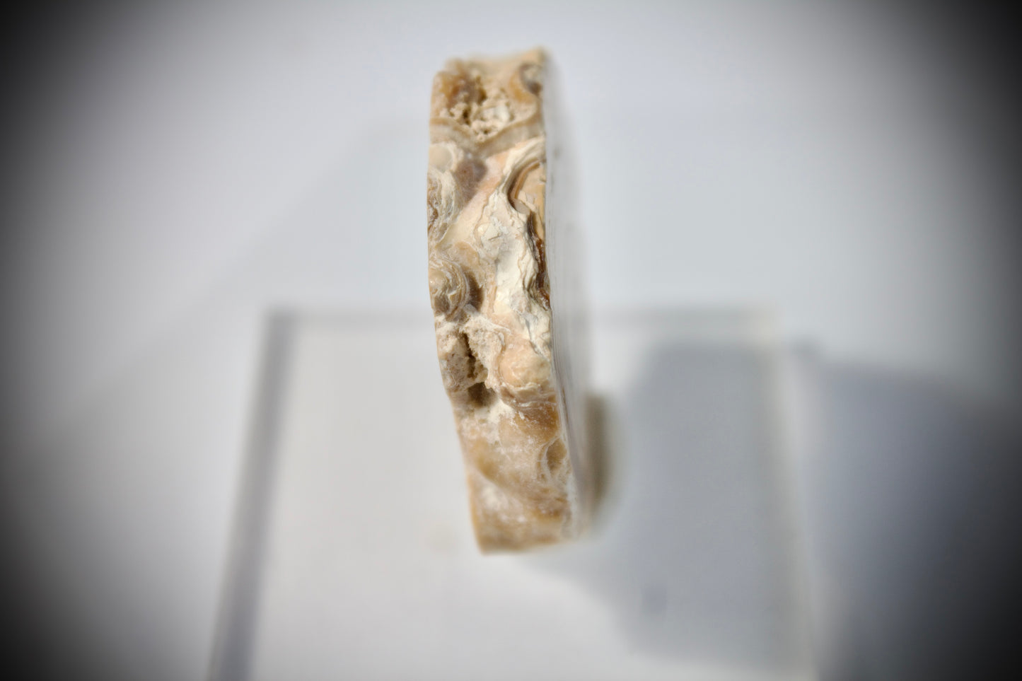 Aragonite Stalactite 12