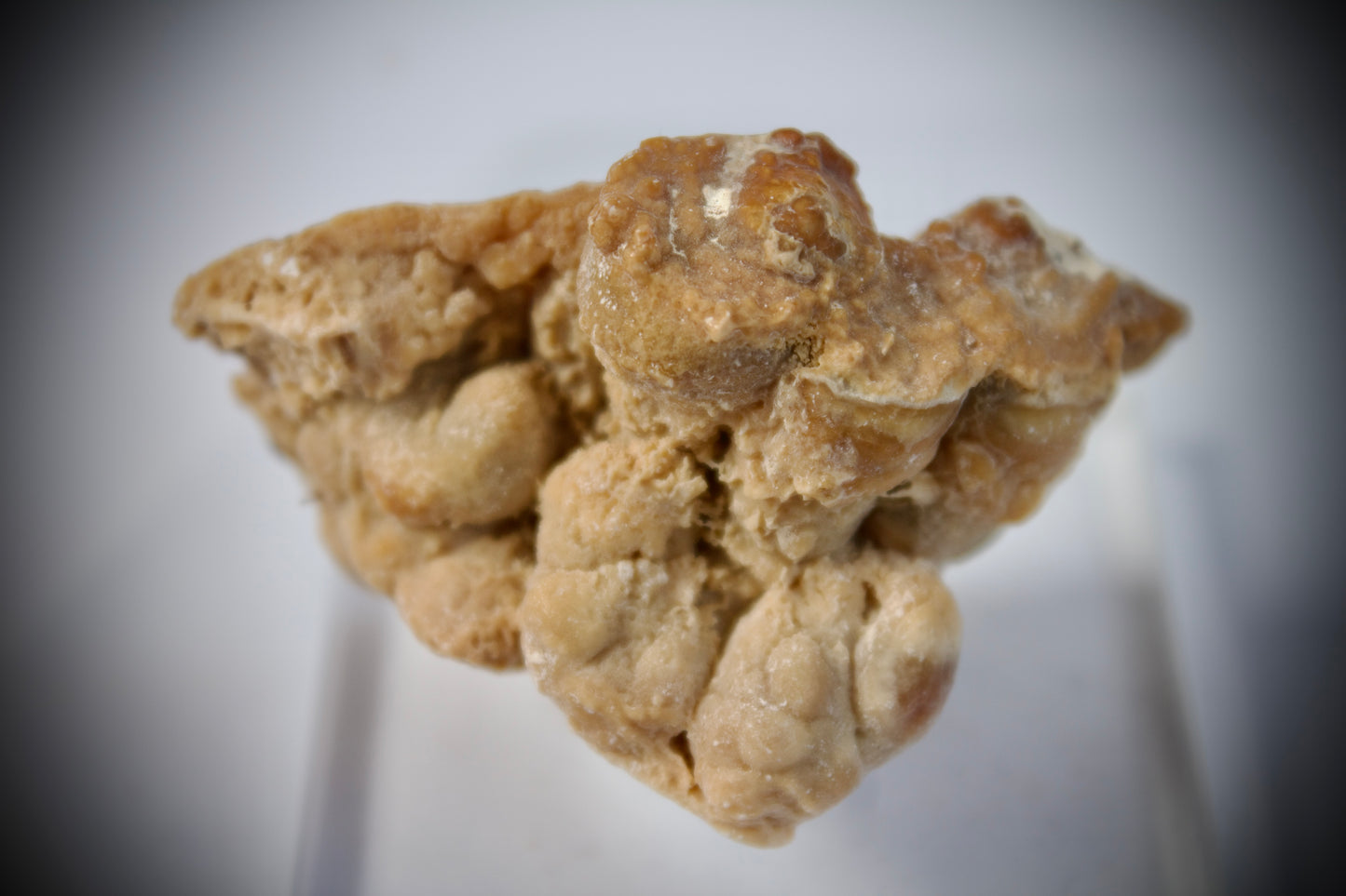 Aragonite Stalactite 13