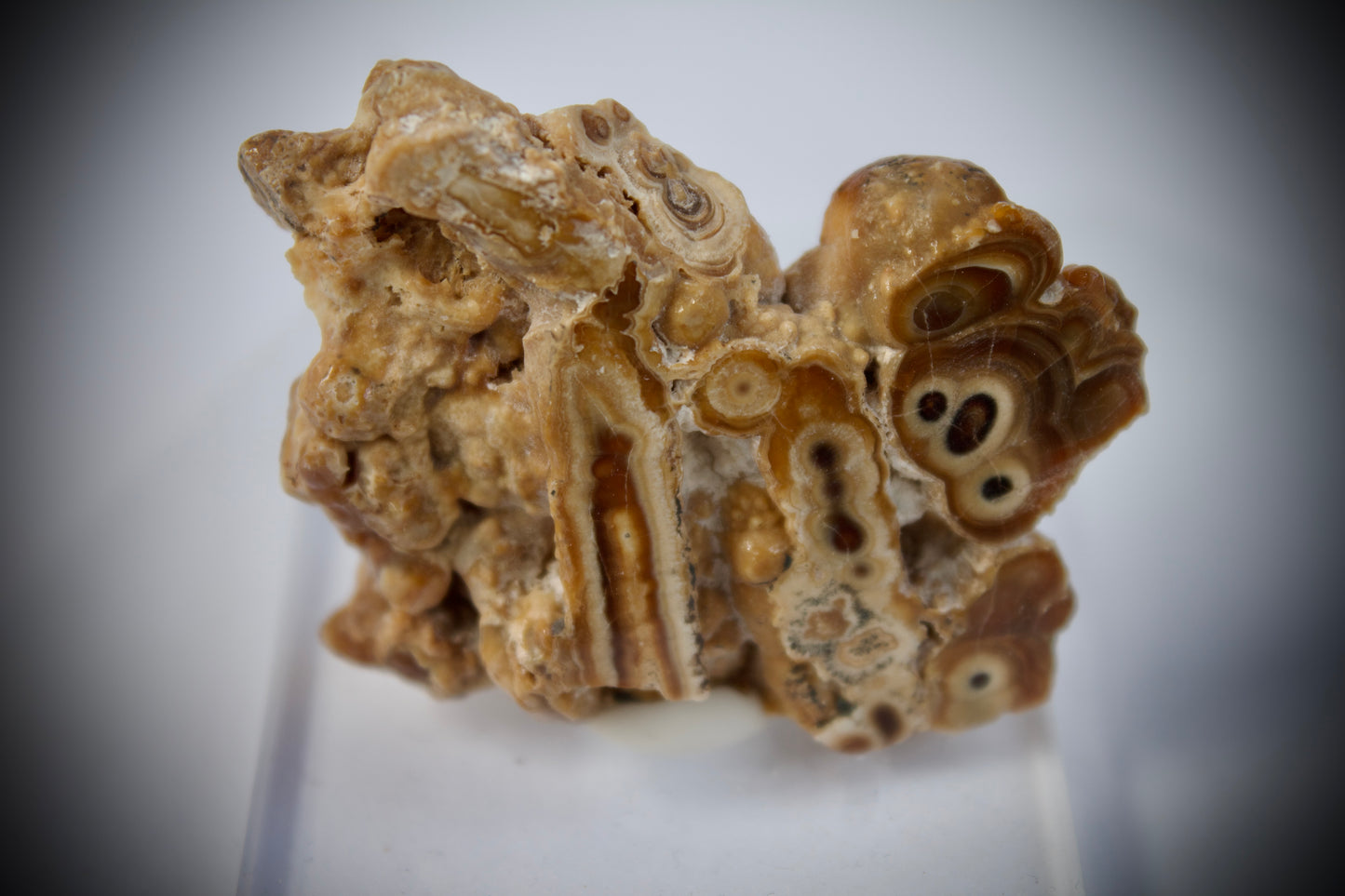 Aragonite Stalactite 14