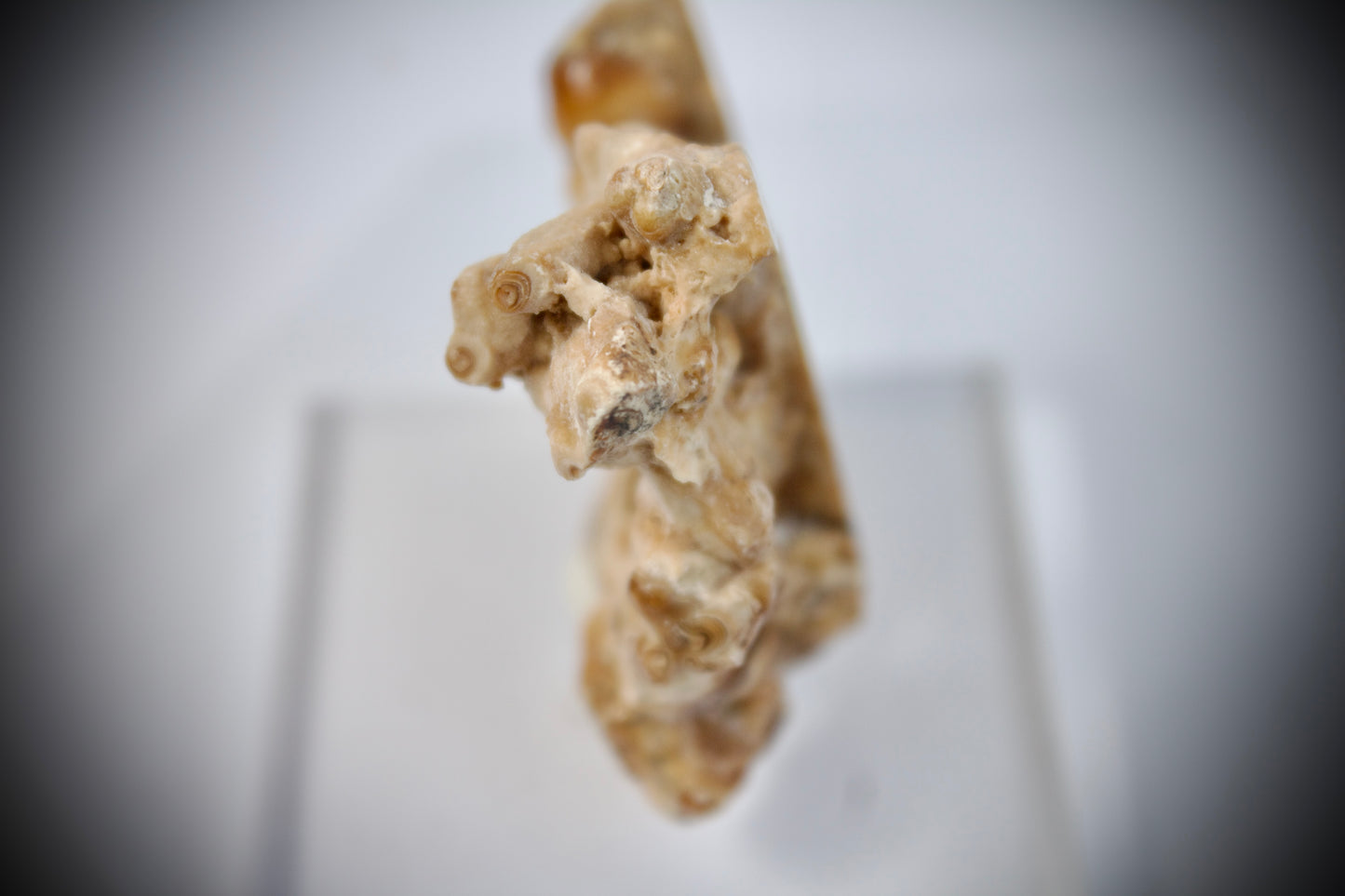 Aragonite Stalactite 14