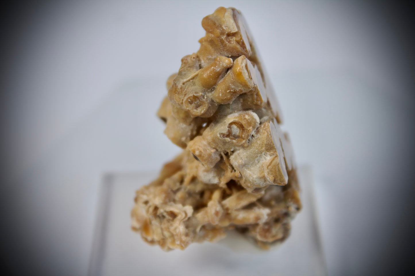 Aragonite Stalactite 15
