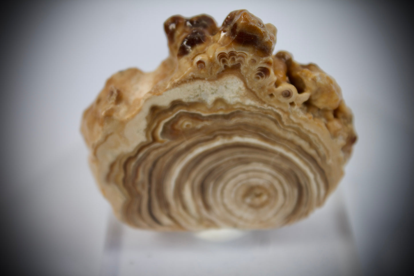 Aragonite Stalactite 16