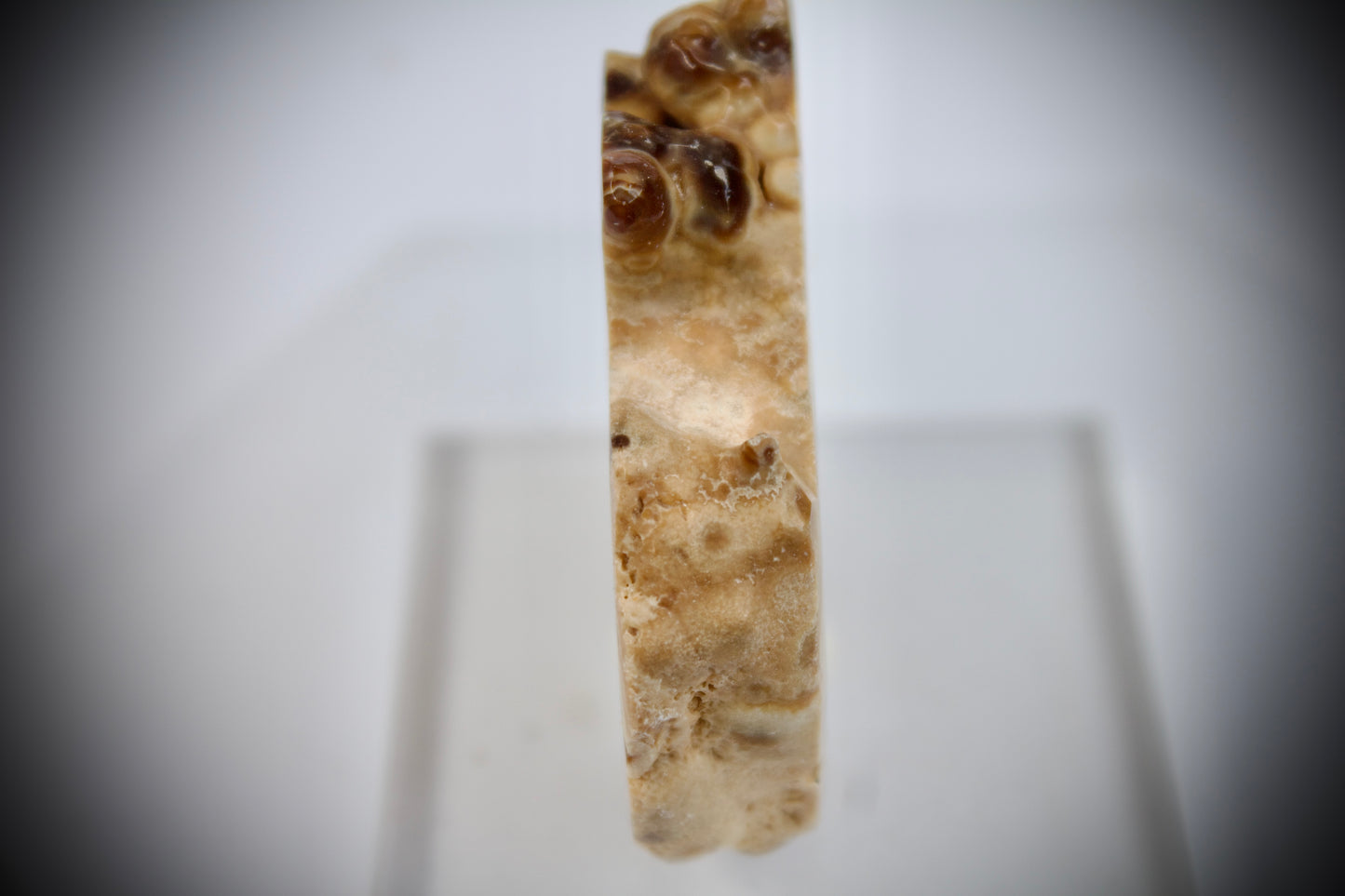 Aragonite Stalactite 16