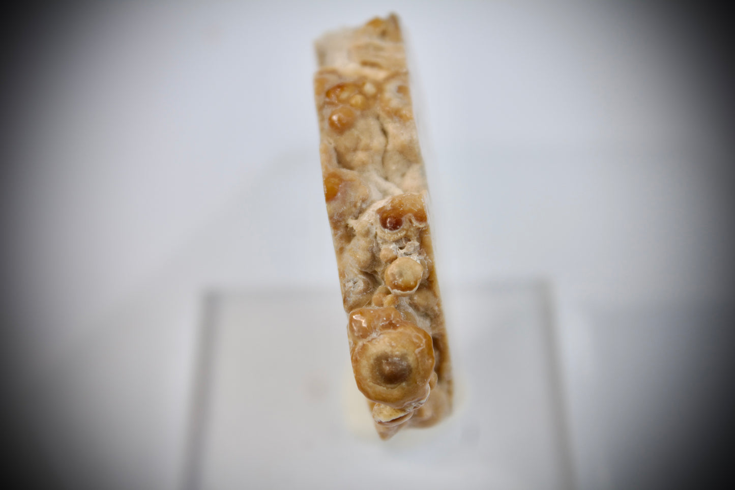 Aragonite Stalactite 17