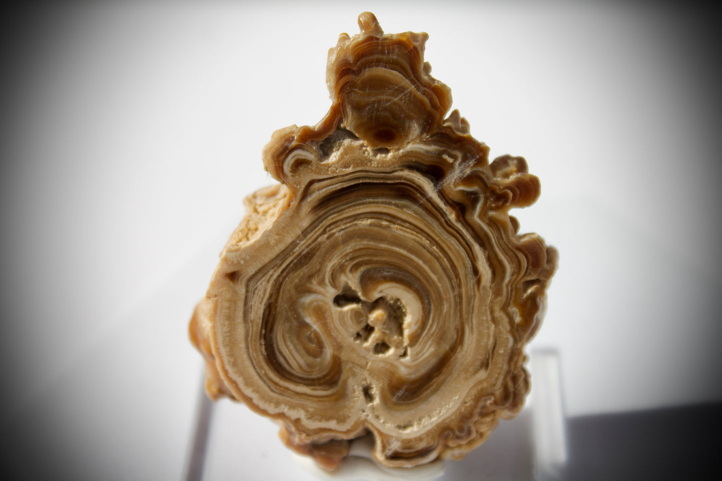 Aragonite Stalactite 20