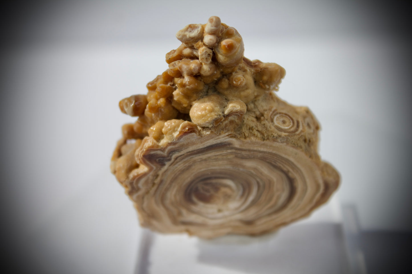 Aragonite Stalactite 20