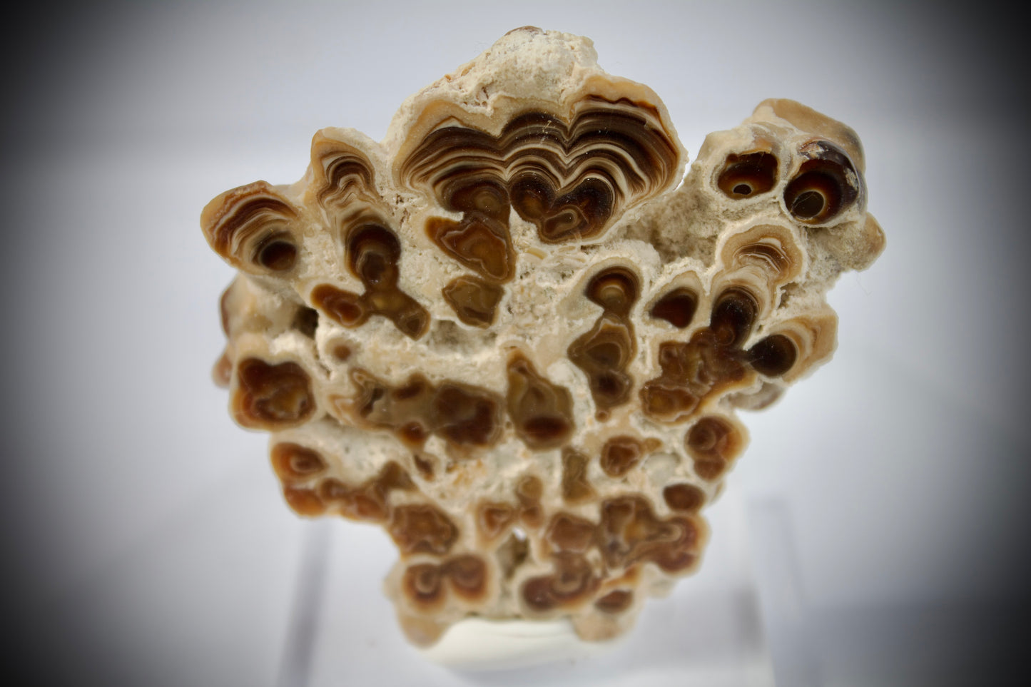 Aragonite Stalactite 21