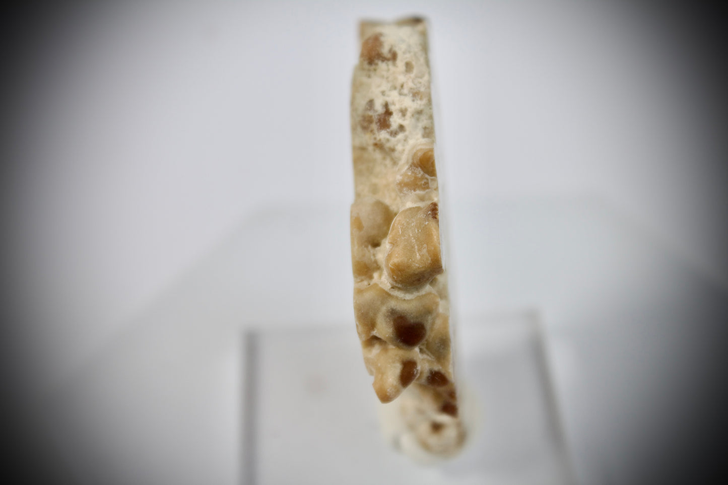 Aragonite Stalactite 21