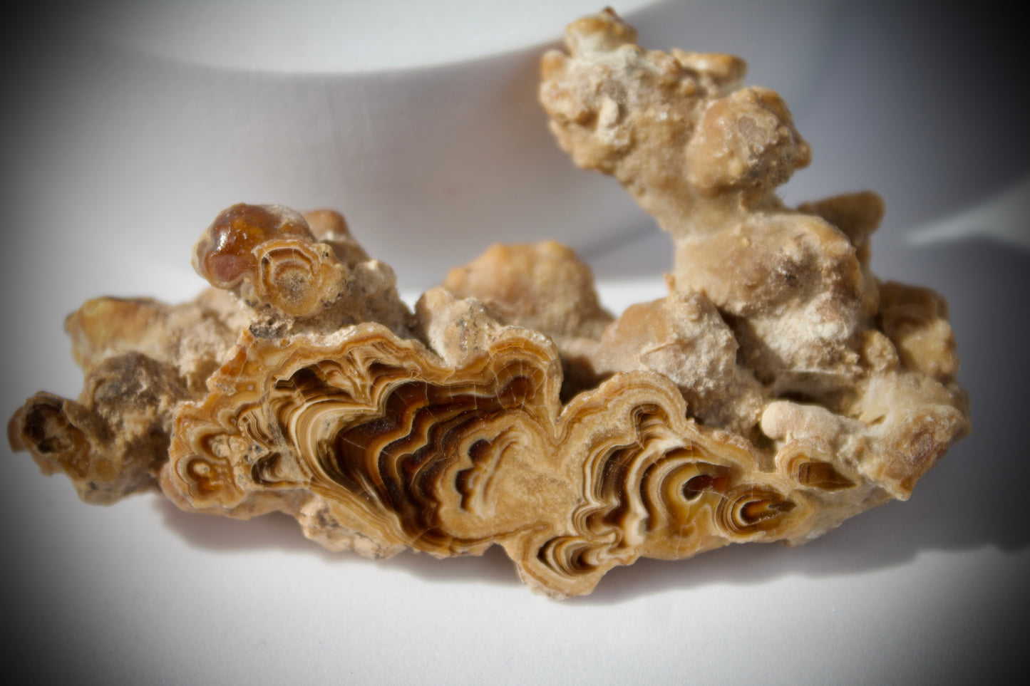 Aragonite Stalactite 23