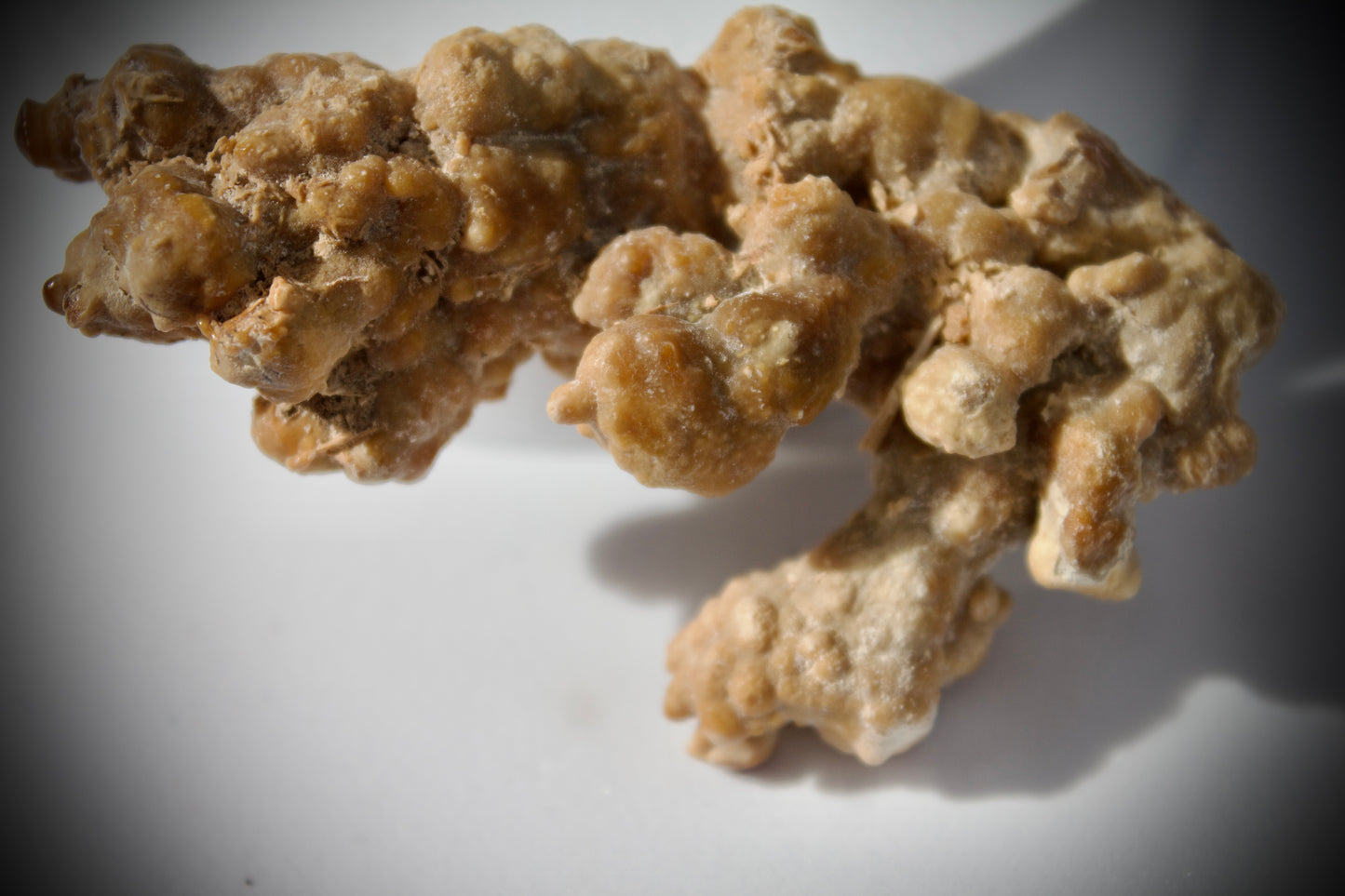 Aragonite Stalactite 23