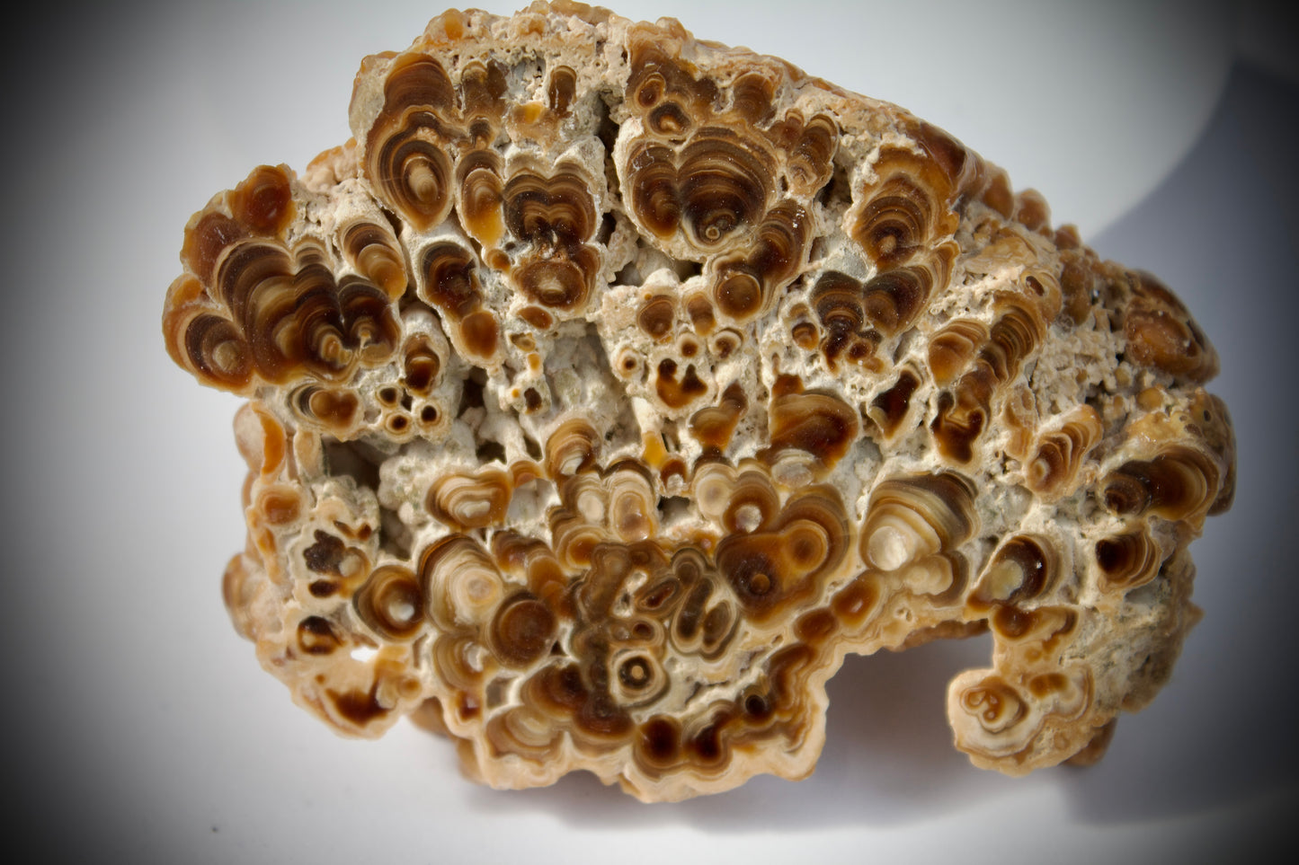 Aragonite Stalactite 24