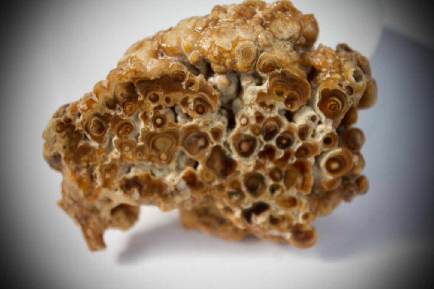 Aragonite Stalactite 24