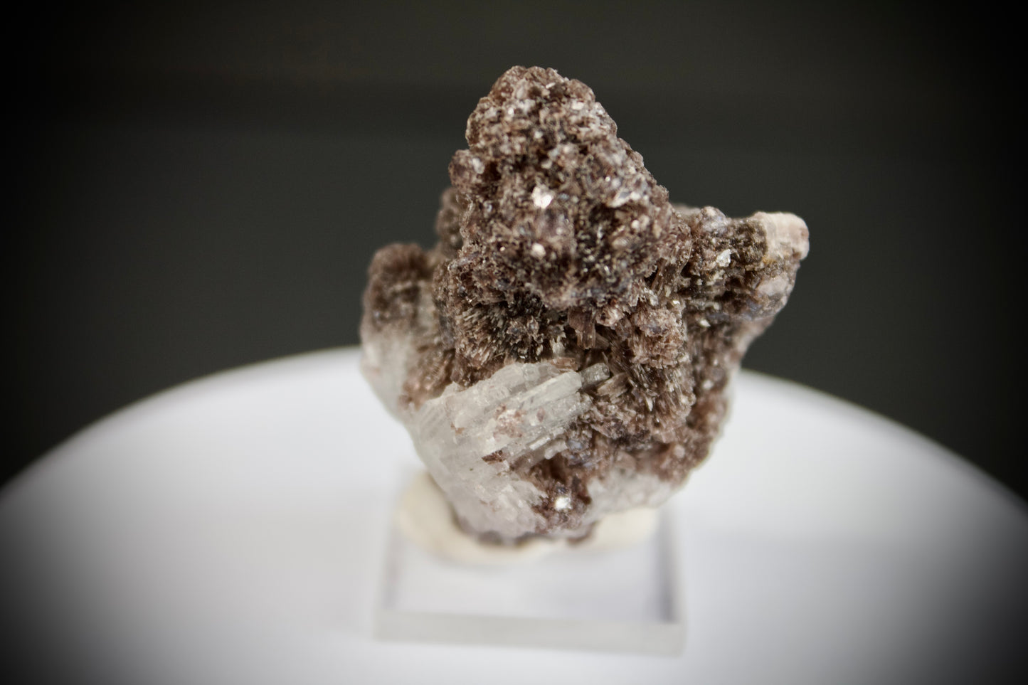 Lepidolite With Clevelandite 1