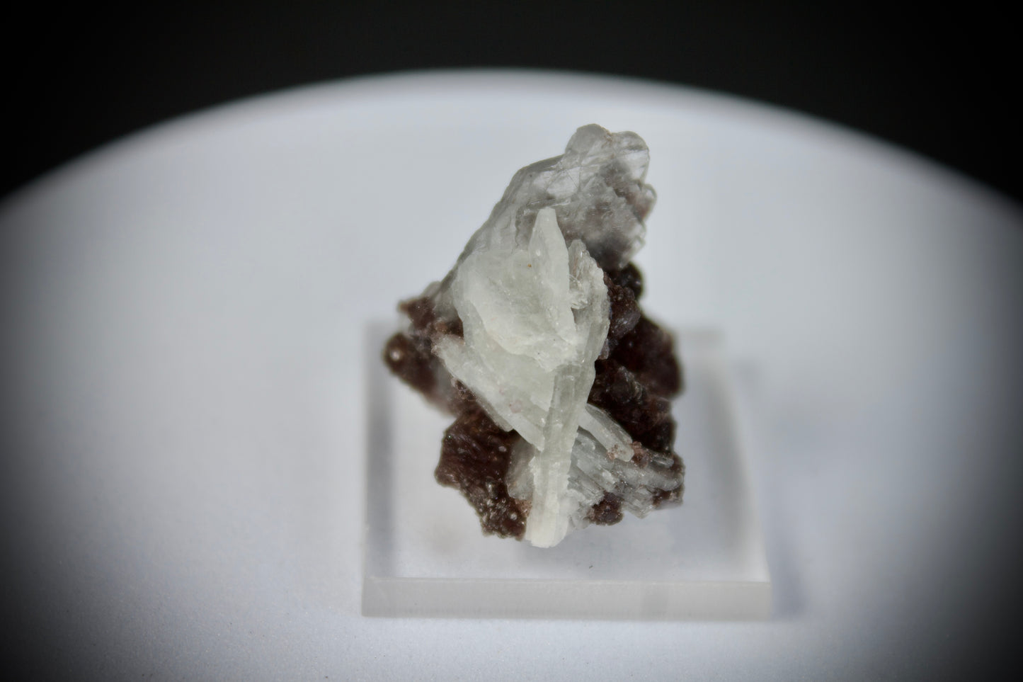 Lepidolite with Clevelandite 6