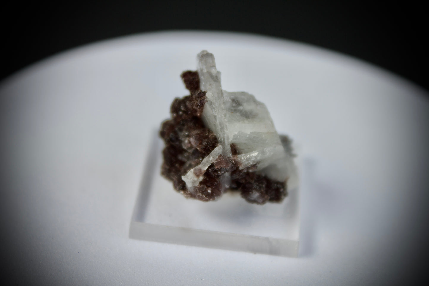 Lepidolite with Clevelandite 6