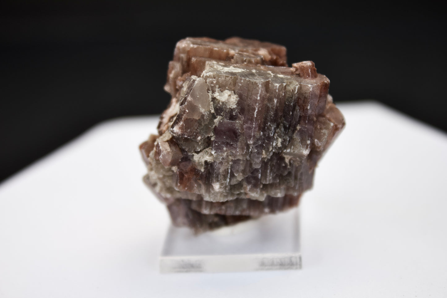 Purple Aragonite 2