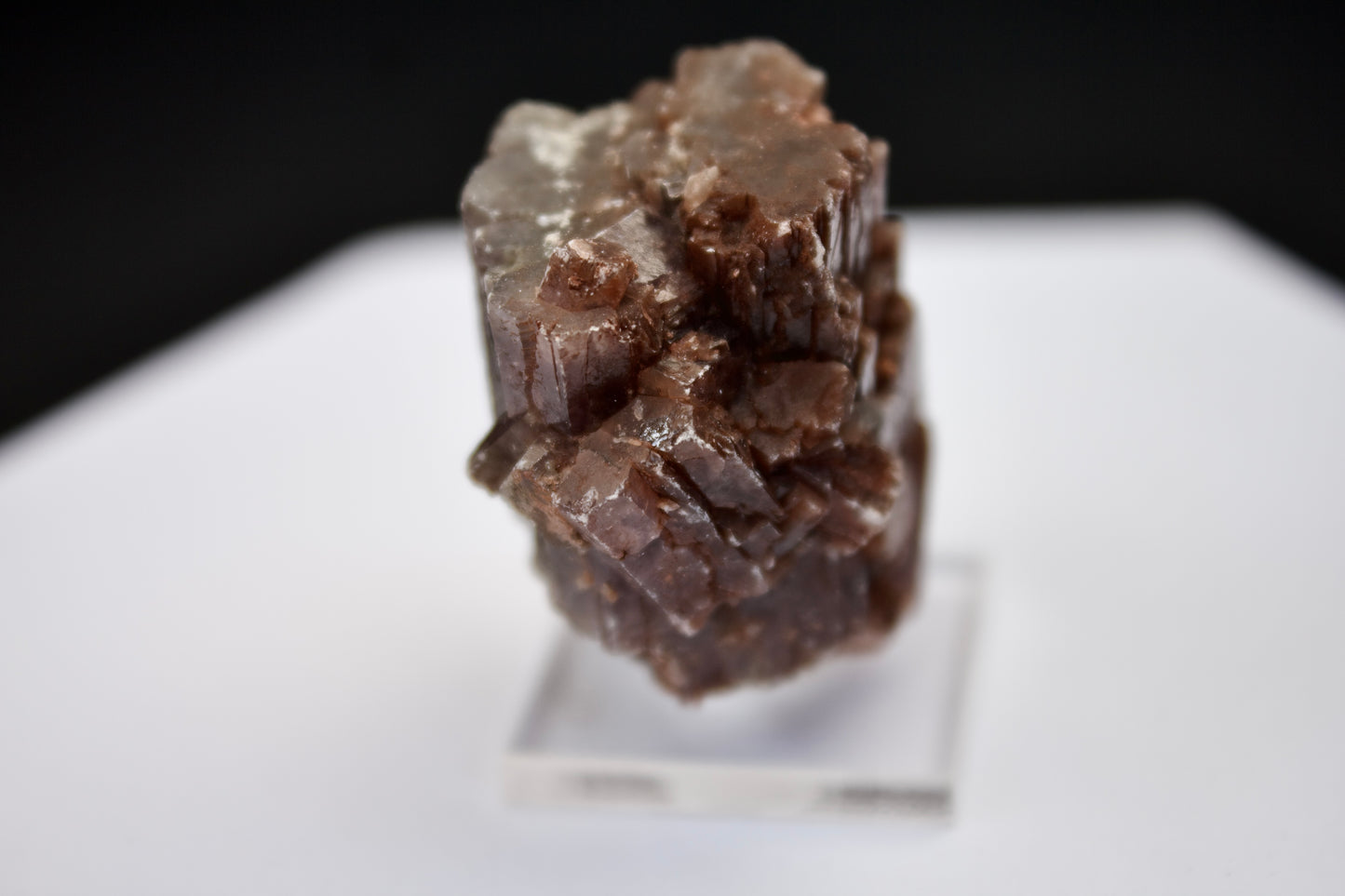 Purple Aragonite 2
