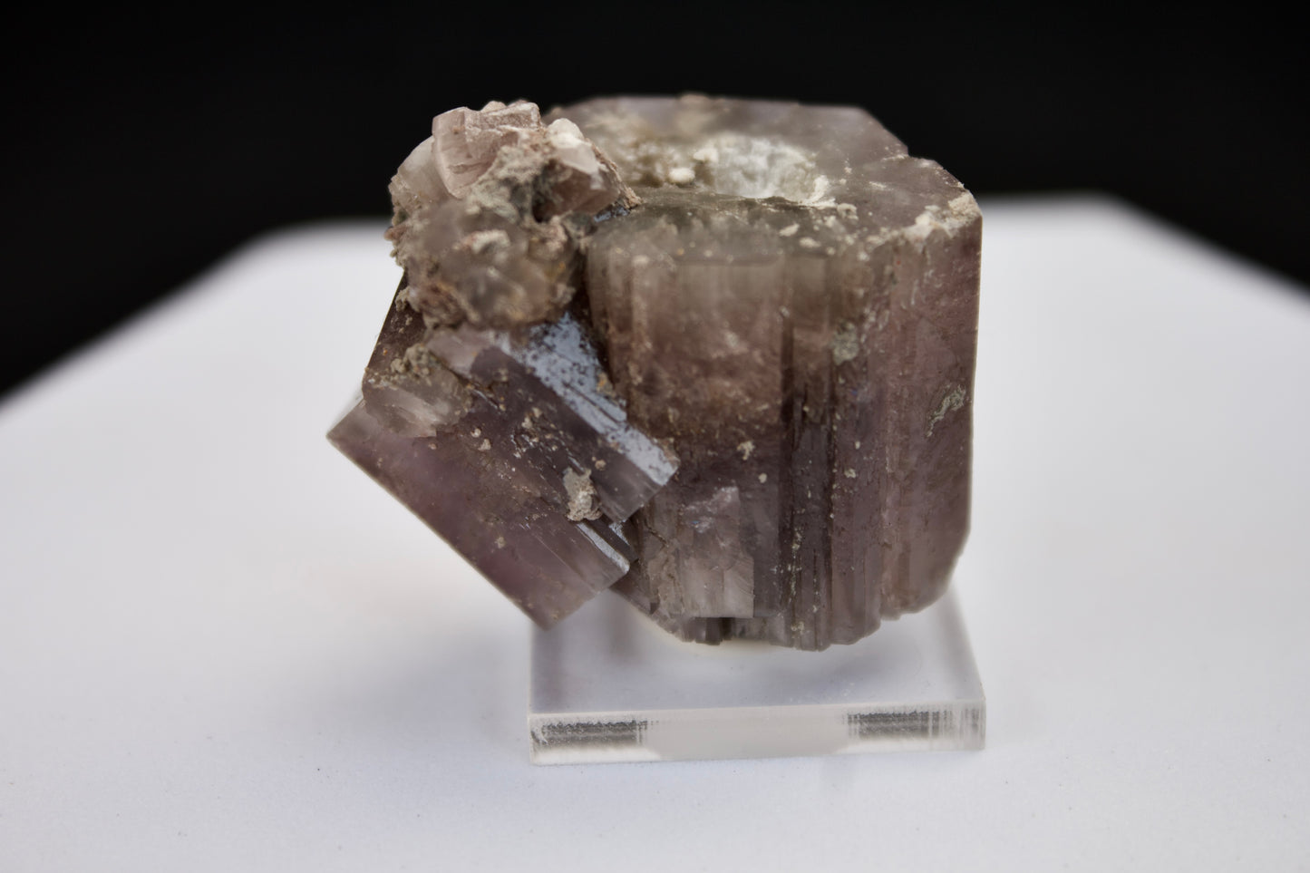 Purple Aragonite 3