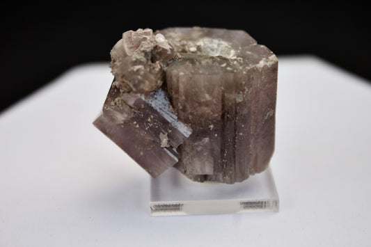 Purple Aragonite 3