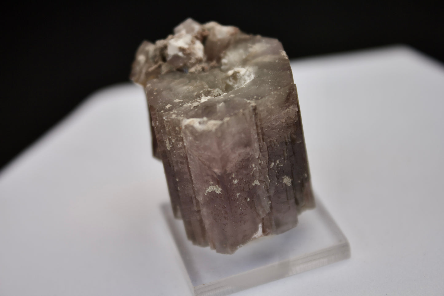 Purple Aragonite 3