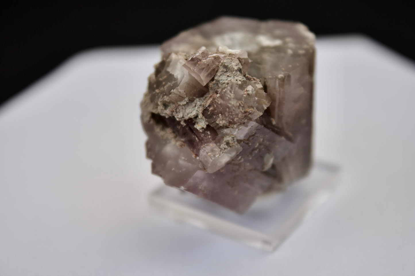 Purple Aragonite 3