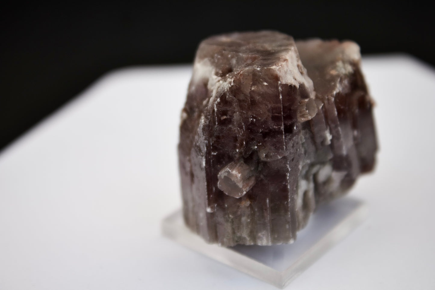 Purple Aragonite 4