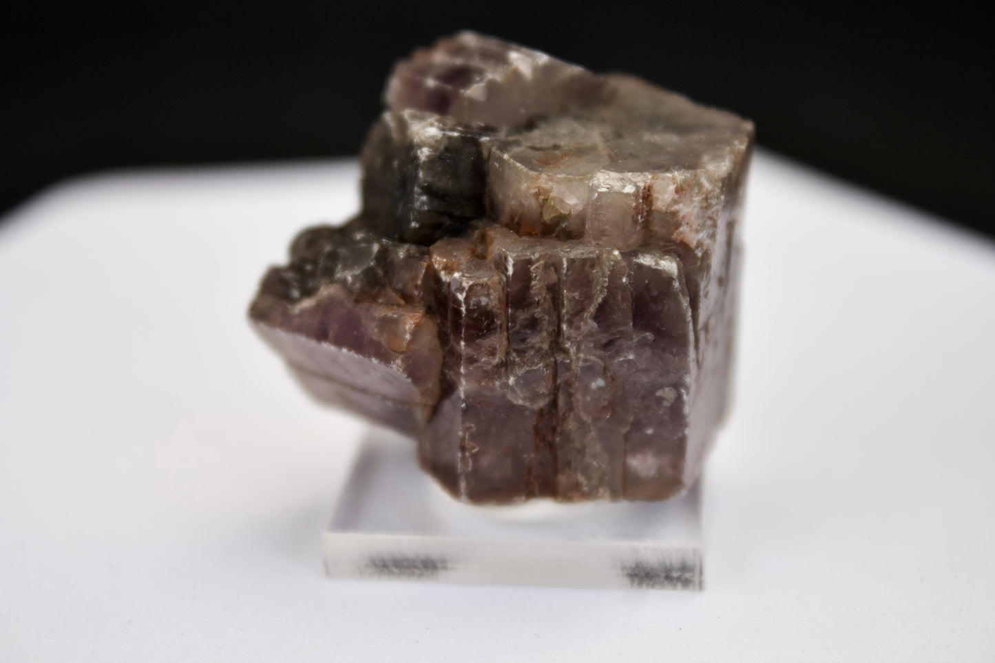 Purple Aragonite 5