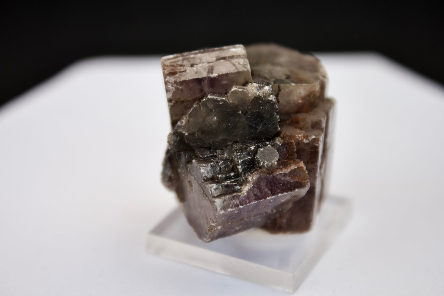 Purple Aragonite 5