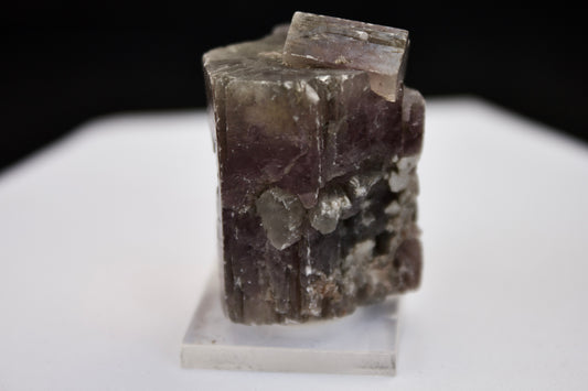 Purple Aragonite 7