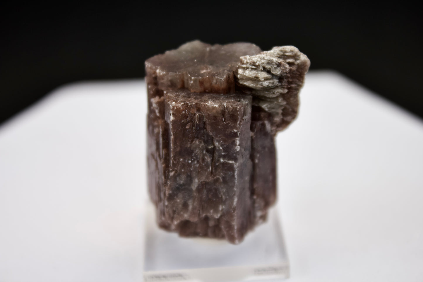 Purple Aragonite 10